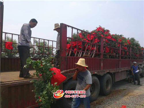 三伏天 烈日下的他（她）們 需要您點(diǎn)贊！(圖2)